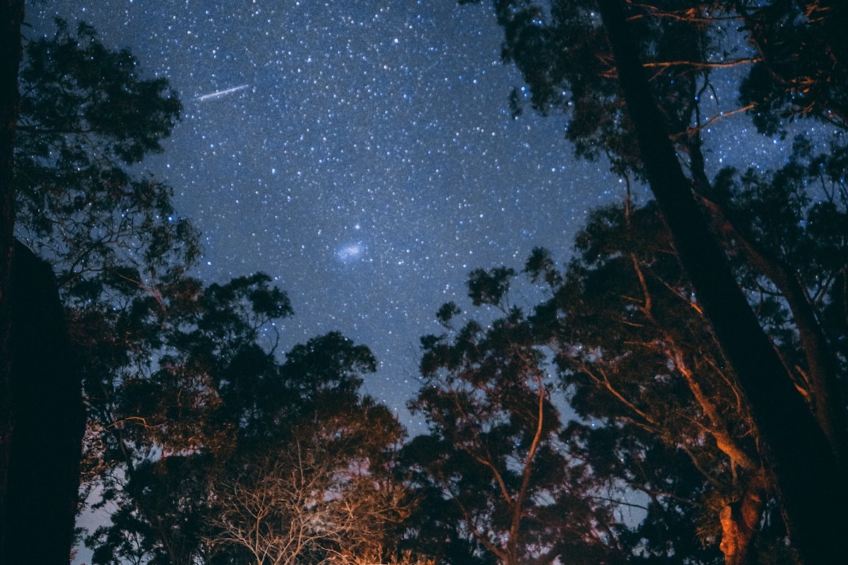 轻量化荒野露营装备套装，包括帐篷、睡袋、炊具等